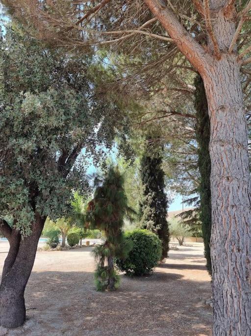 El Rulon, Gran Rural Con Piscina Privada Alicante