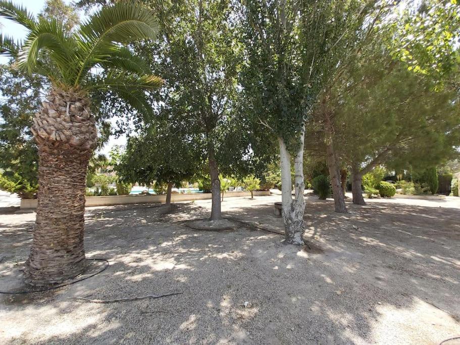 El Rulon, Gran Rural Con Piscina Privada Villa
